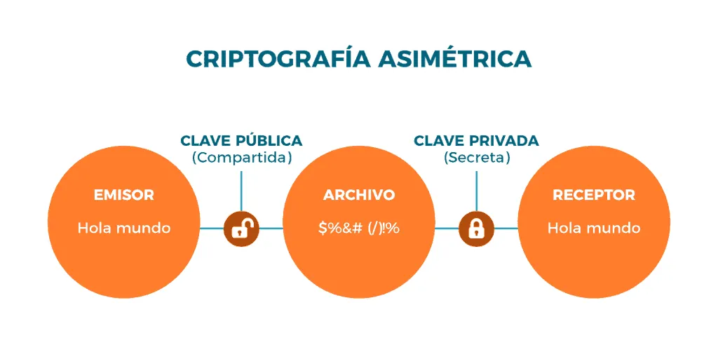 Criptografia básica: o que é, como funciona e para o que serve?