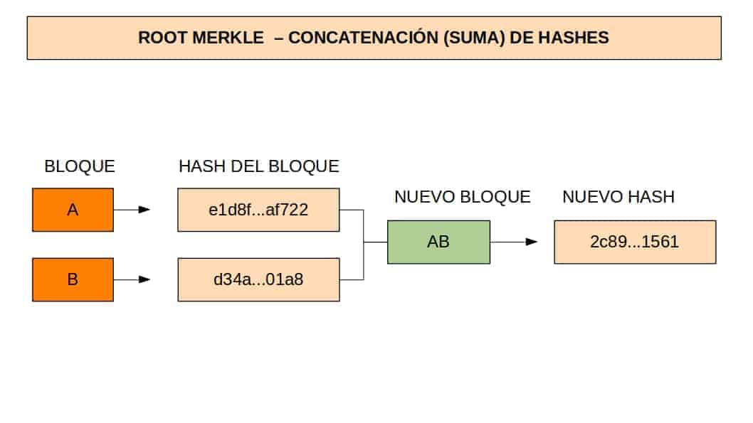 ROOT3 Tercer paso para calcular el root hash