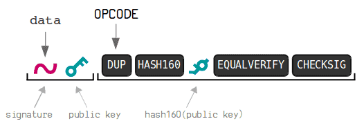 decode script bitcoin