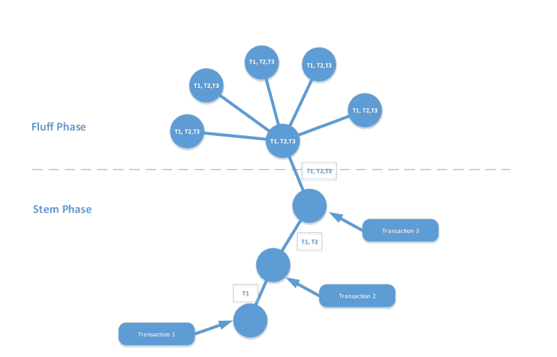 dandelion-mimblewimble An outline of how the Dandellion works