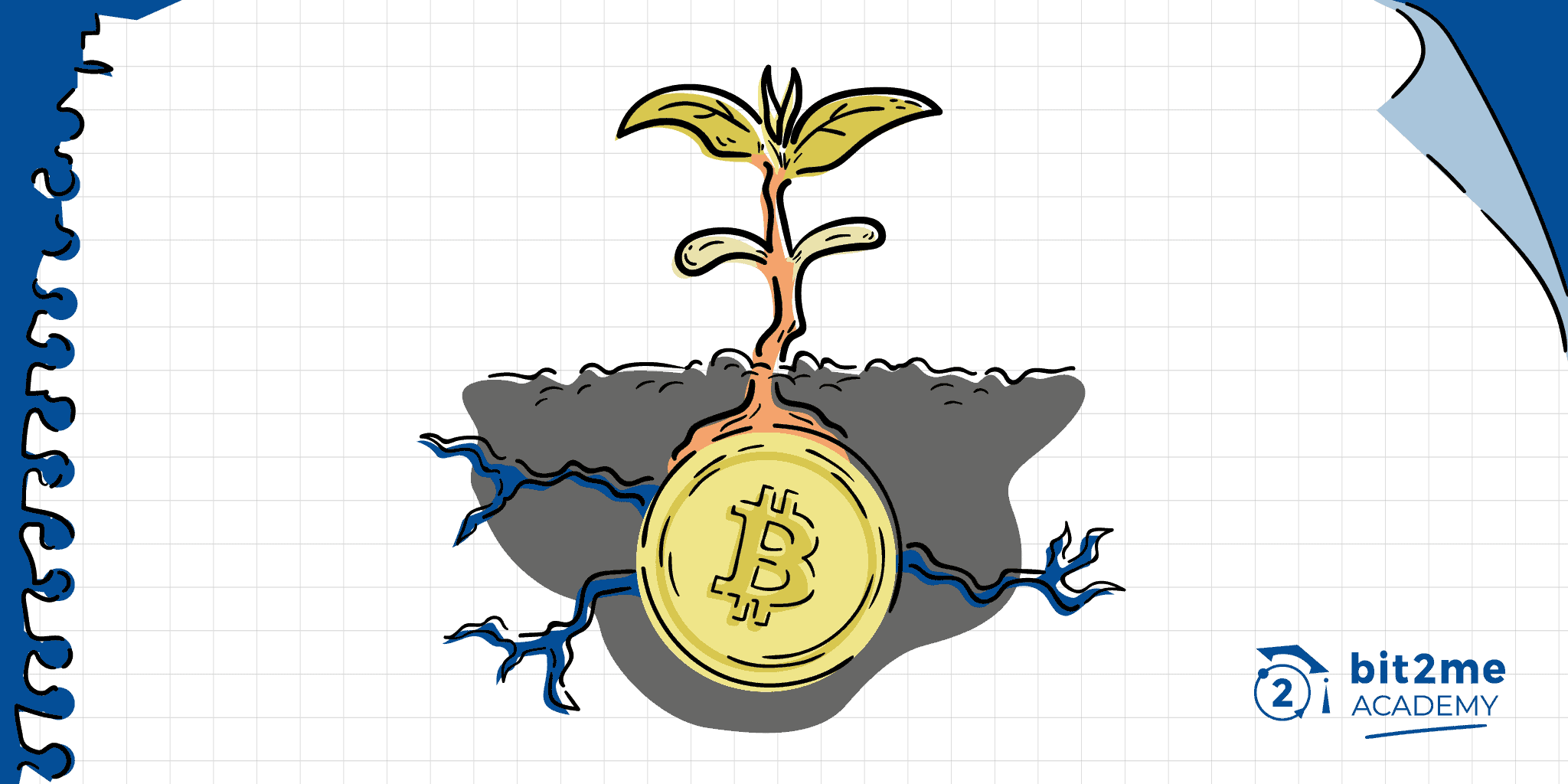 cómo invertir en bitcoin de forma segura- Bit2Me Academy