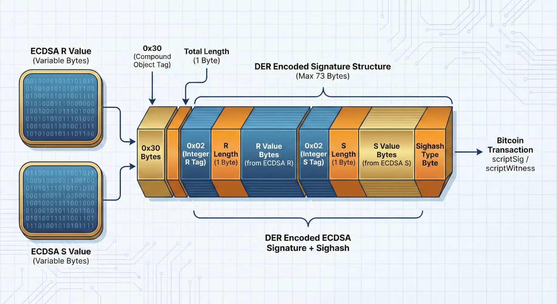 firmas-der-funcionamiento Ejemplo de como funcionan las firmas DER dentro de Bitcoin - Bit2Me Academy