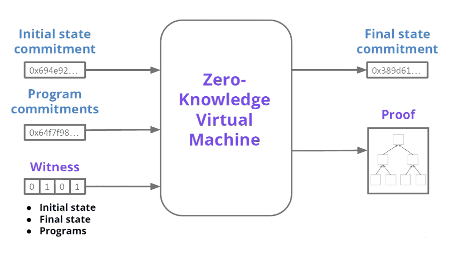 Stellar Network
