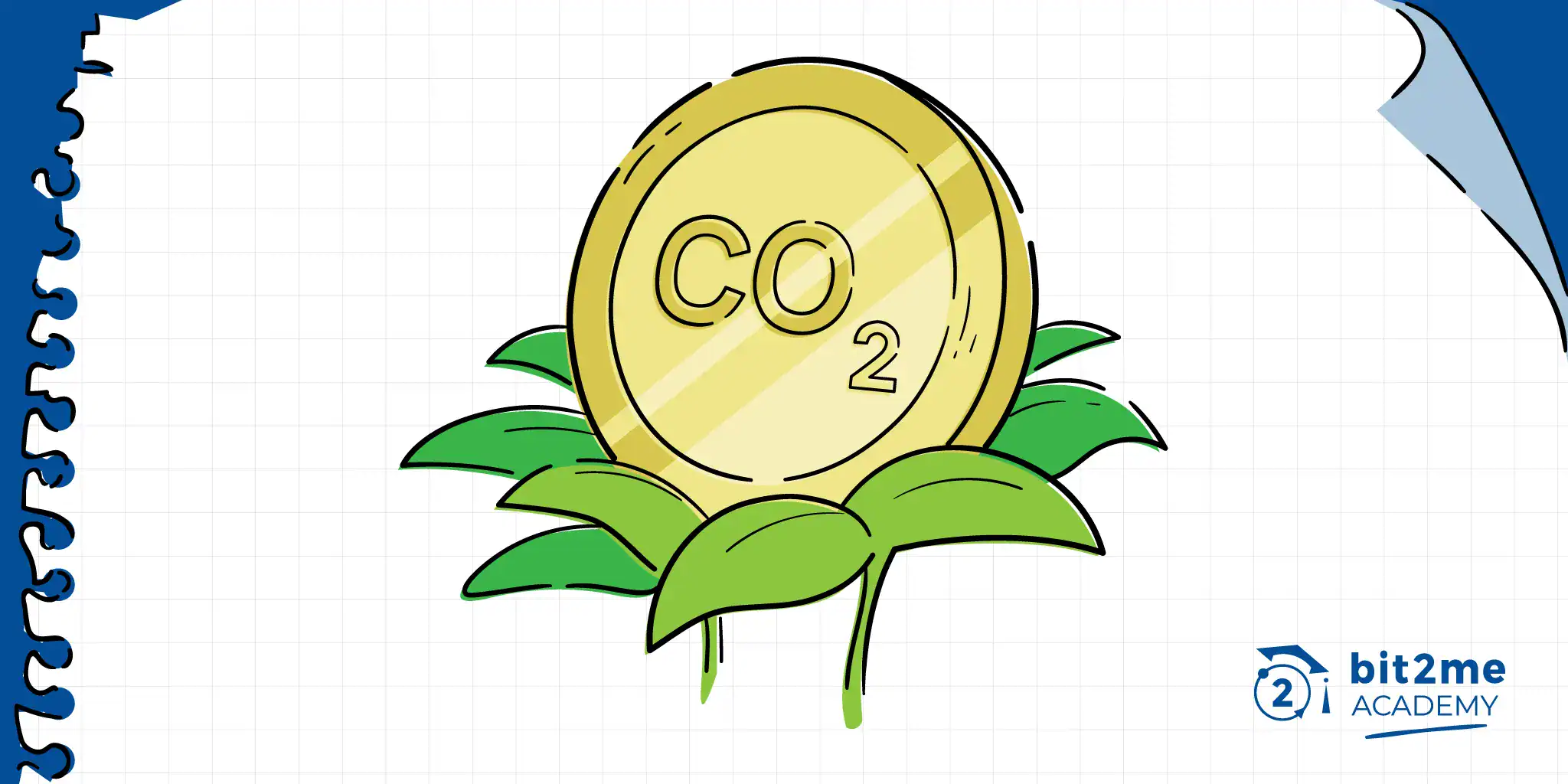 Créditos de carbono: qué son y cómo funcionan