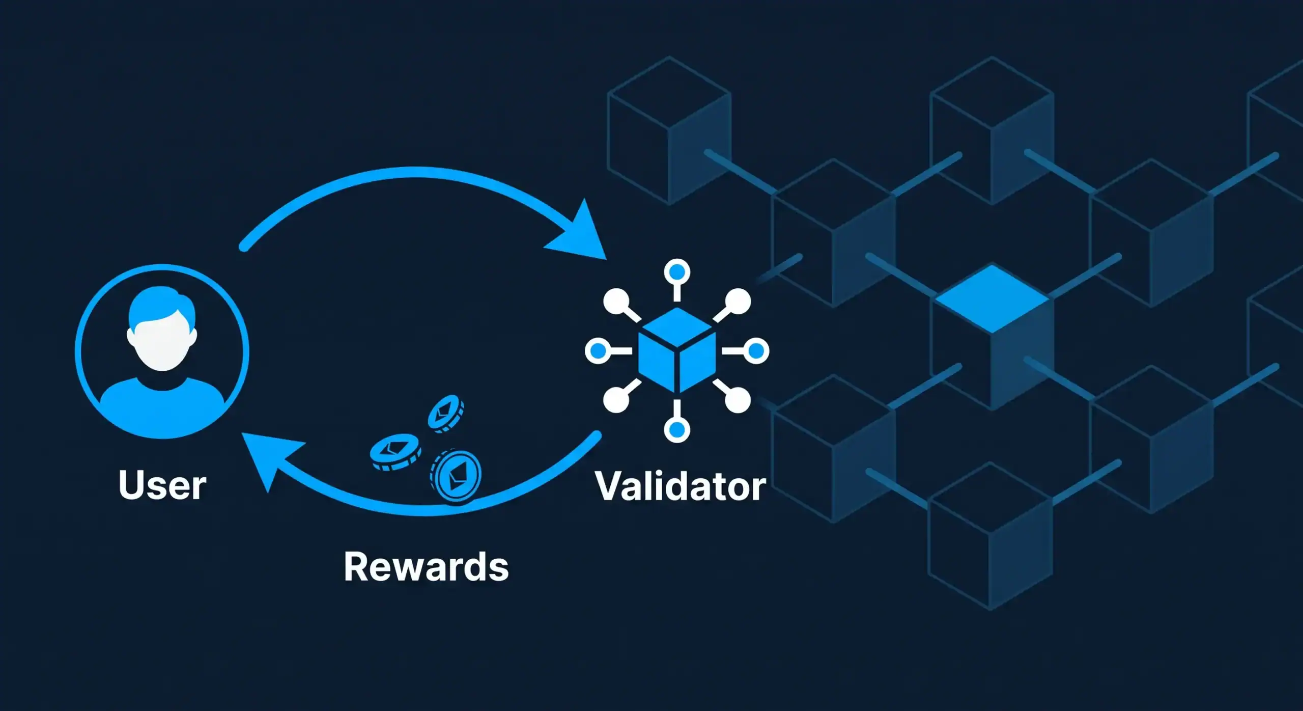apy-recompensas-staking-bit2me-academy Ilustración de un participante delegando criptoactivos a un validador para recibir recompensas de staking - Bit2Me Academy